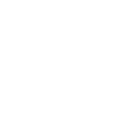 Dynamic Web Development Services