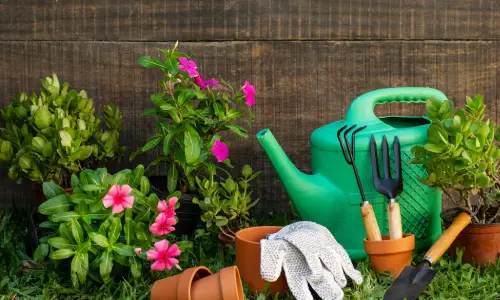 Home & Garden