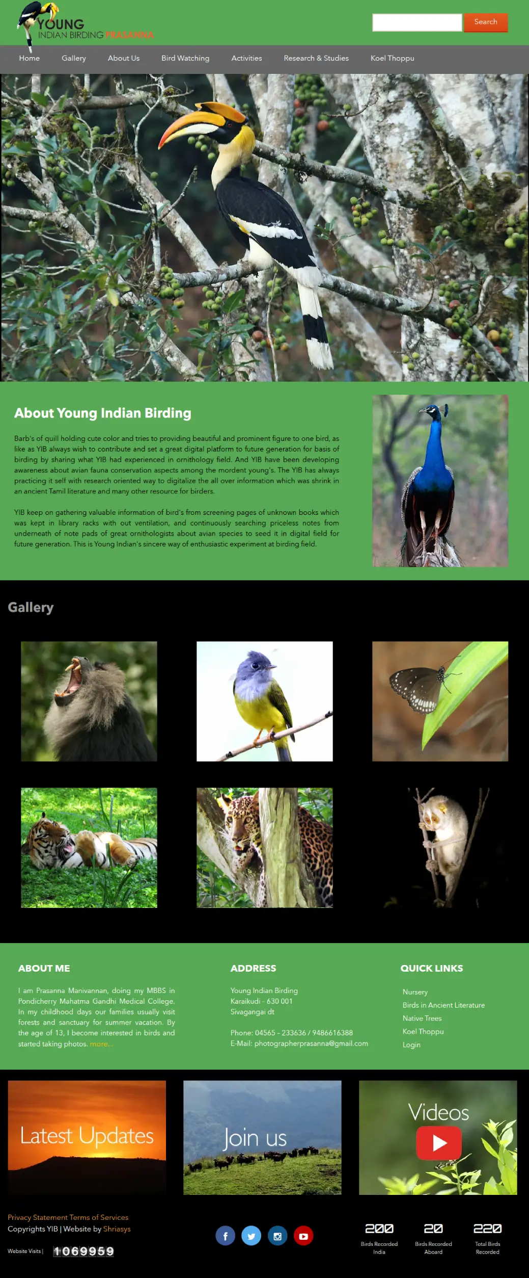 Young Indian Bird