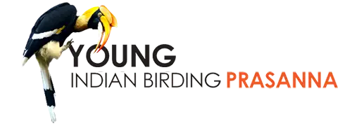 Website Hosting Services