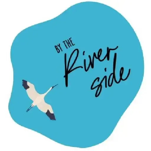 Website Hosting Service