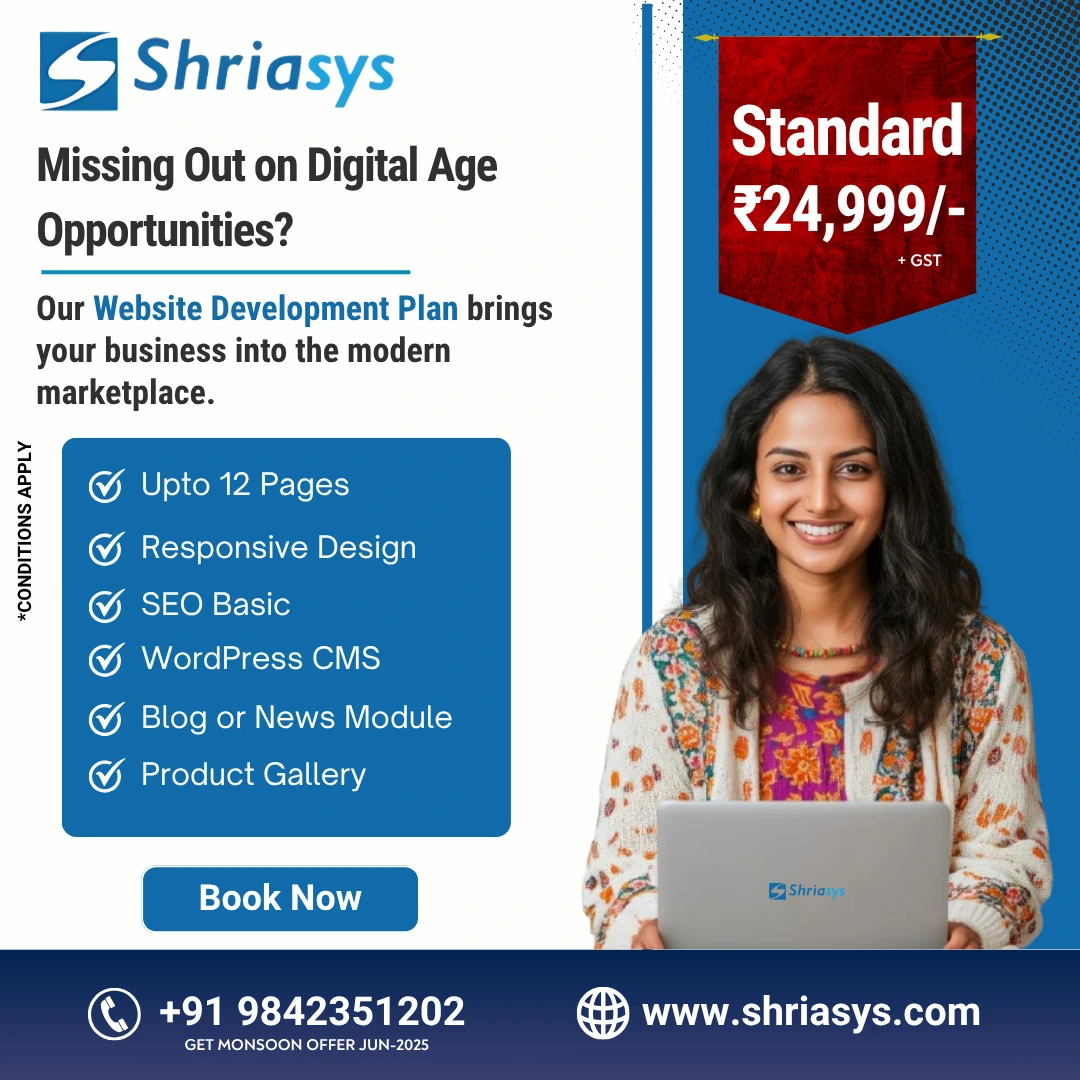 standard-website-development-plan