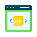 Custom Module Developments